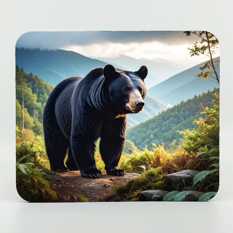 Black Bear Gifts