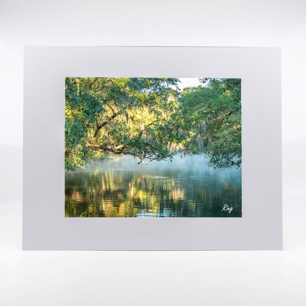 Blue Springs 4 Gifts