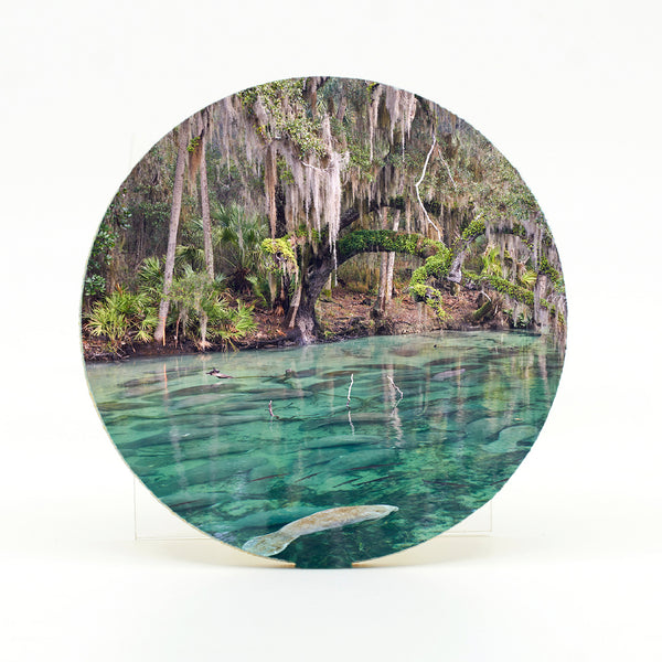 Blue Springs 7 Gifts