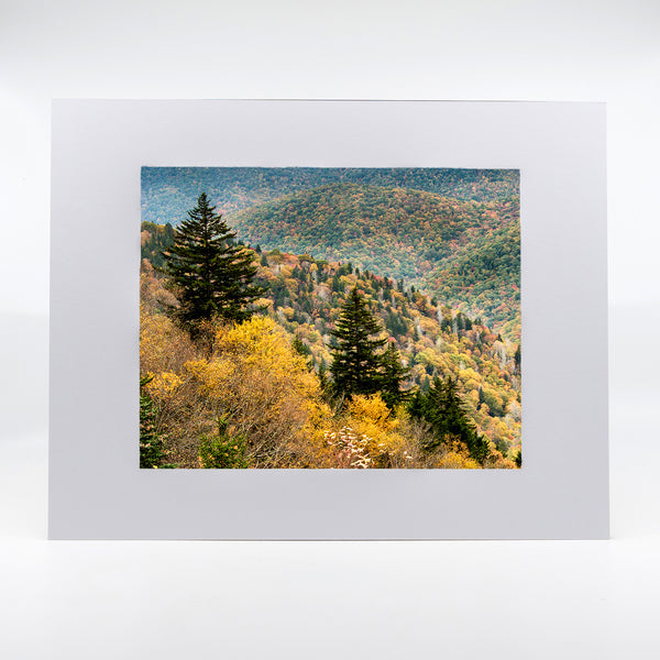 Blue Ridge 1 Gifts