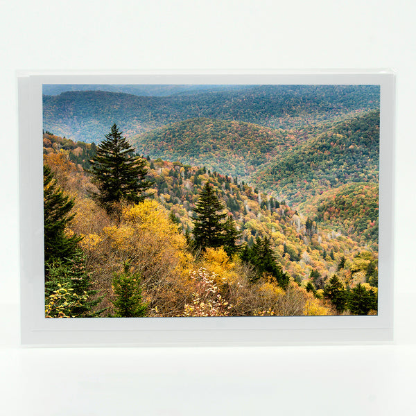 Blue Ridge 1 Gifts