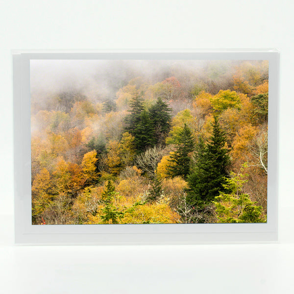 Blue Ridge 3 Gifts