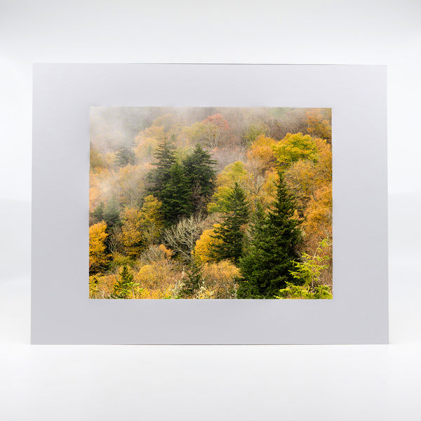 Blue Ridge 3 Gifts