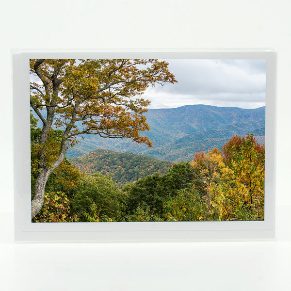 Blue Ridge 4 Gifts