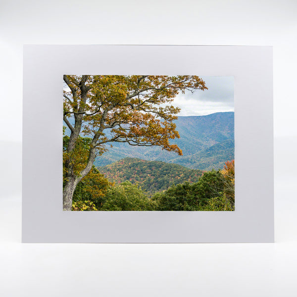 Blue Ridge 4 Gifts