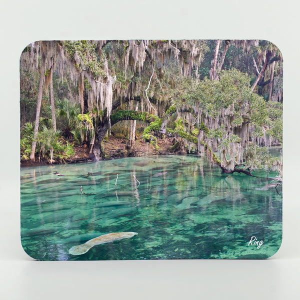 Blue Springs 7 Gifts