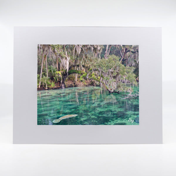 Blue Springs 7 Gifts