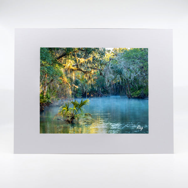 Blue Springs 9 Gifts