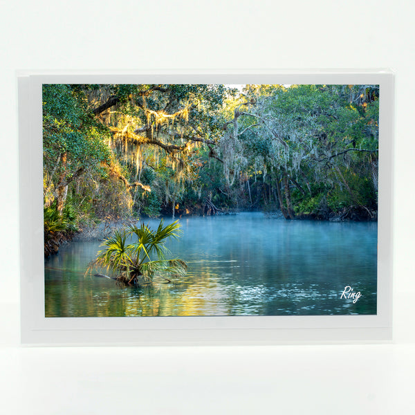 Blue Springs 9 Gifts