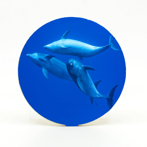 Bottlenose Dolphins Gifts