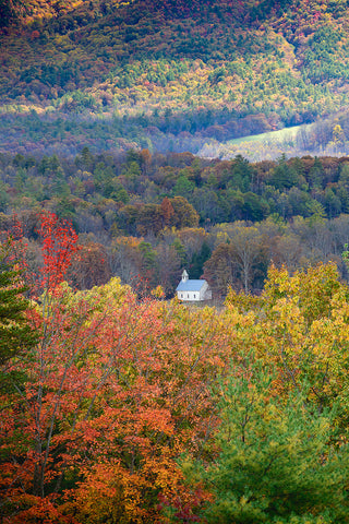 Cades Cove 5