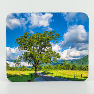 Cades Cove 2 Gifts