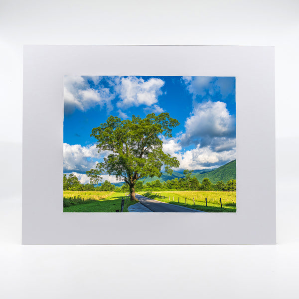 Cades Cove 2 Gifts