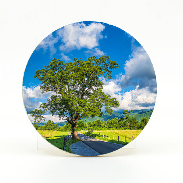 Cades Cove 2 Gifts