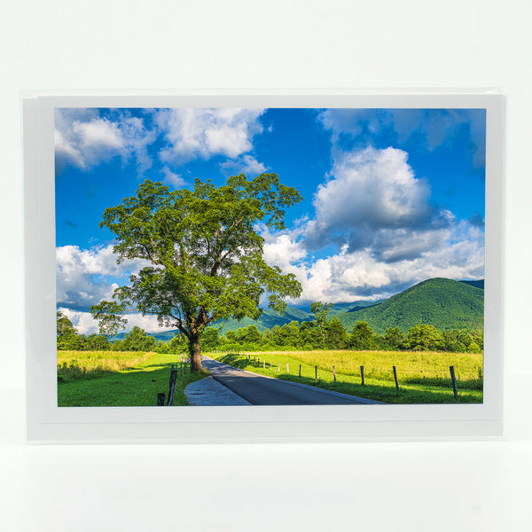 Cades Cove 2 Gifts