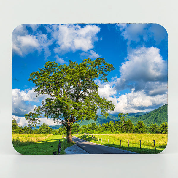 Cades Cove 2 Gifts