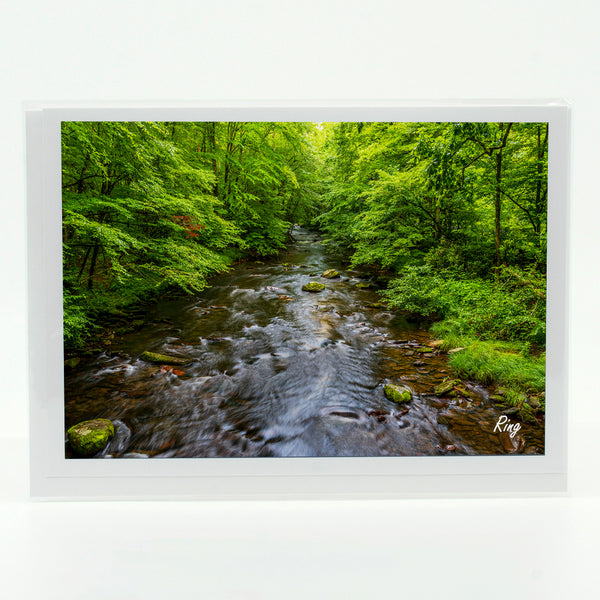 Cataloochee Stream Gifts