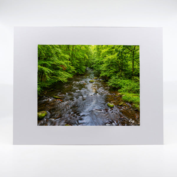 Cataloochee Stream Gifts