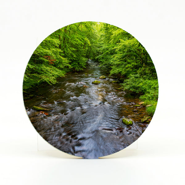 Cataloochee Stream Gifts