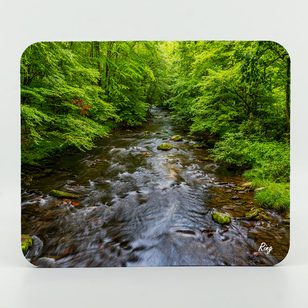 Cataloochee Stream Gifts