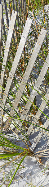 Coastal Life Gifts