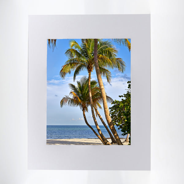 Coconut Palms 7 Gifts