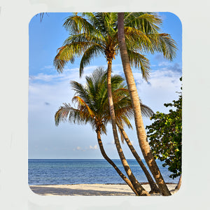 Coconut Palms 7 Gifts