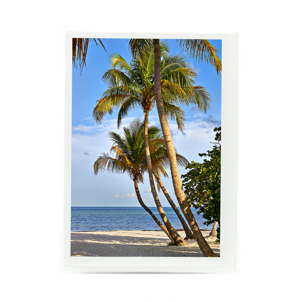 Coconut Palms 7 Gifts