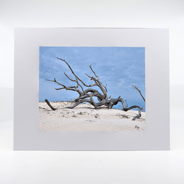 Cumberland Island Gifts