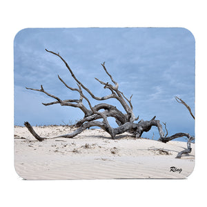 Cumberland Island Gifts