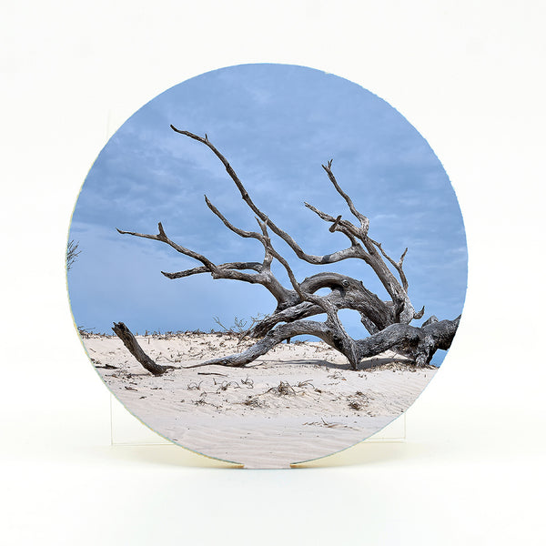 Cumberland Island Gifts