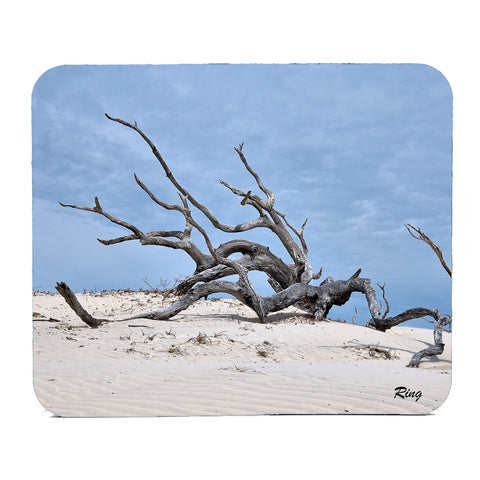 Cumberland Island Gifts