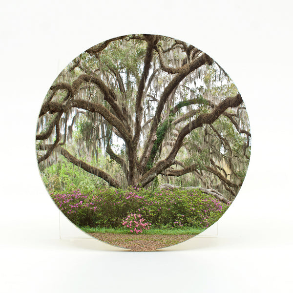 DeLeon Springs State Park 1 Gifts