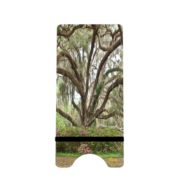DeLeon Springs State Park 1 Gifts