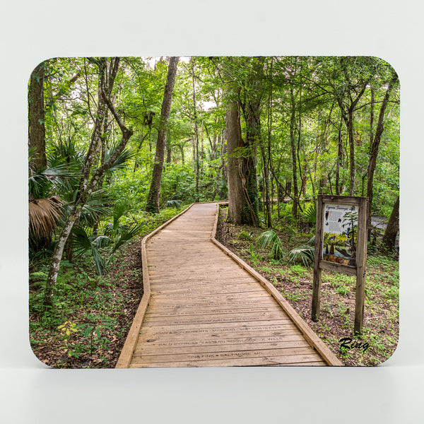 DeLeon Springs State Park 4 Gifts