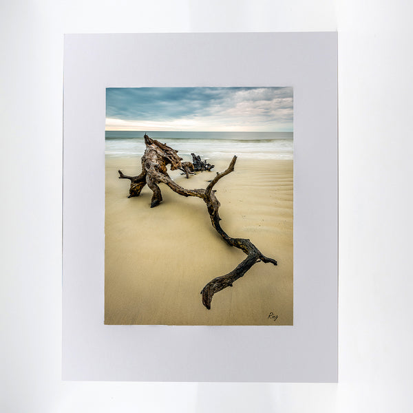 Driftwood Beach 2 Gifts