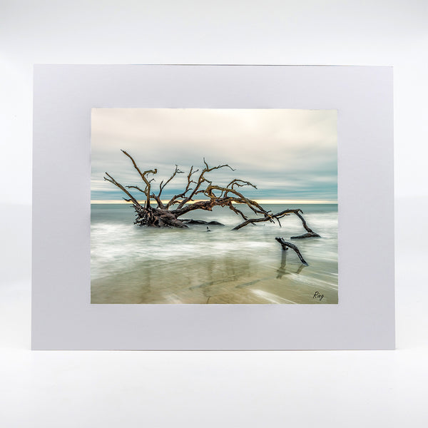 Driftwood Beach 3 Gifts