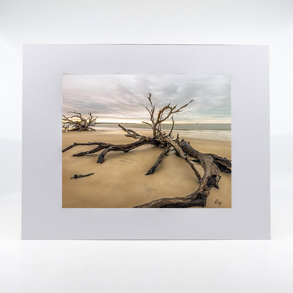 Driftwood Beach 4 Gifts