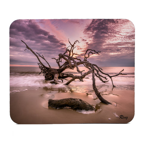 Driftwood Beach 1 Gifts