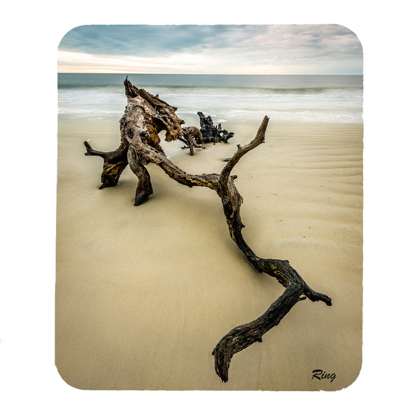 Driftwood Beach 2 Gifts