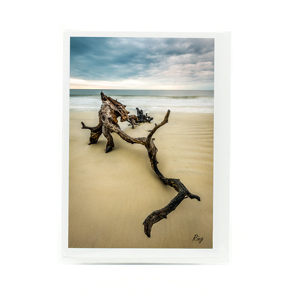 Driftwood Beach 2 Gifts