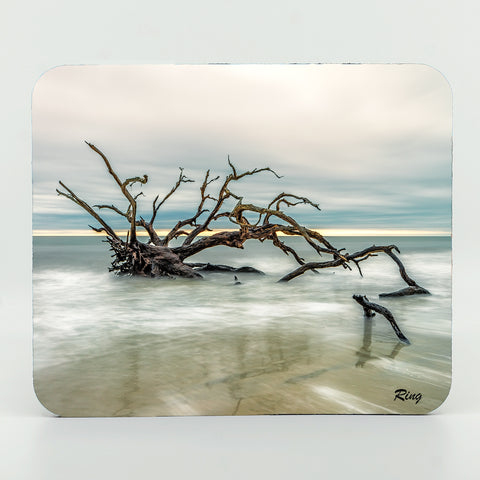 Driftwood Beach 3 Gifts