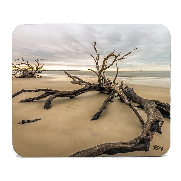 Driftwood Beach 4 Gifts