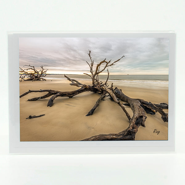 Driftwood Beach 4 Gifts