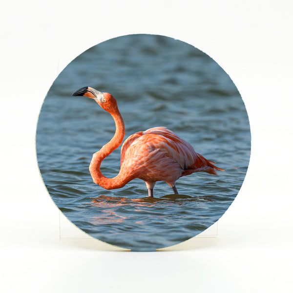 Flamingo's 12 Gifts