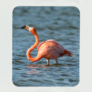 Flamingo's 12 Gifts