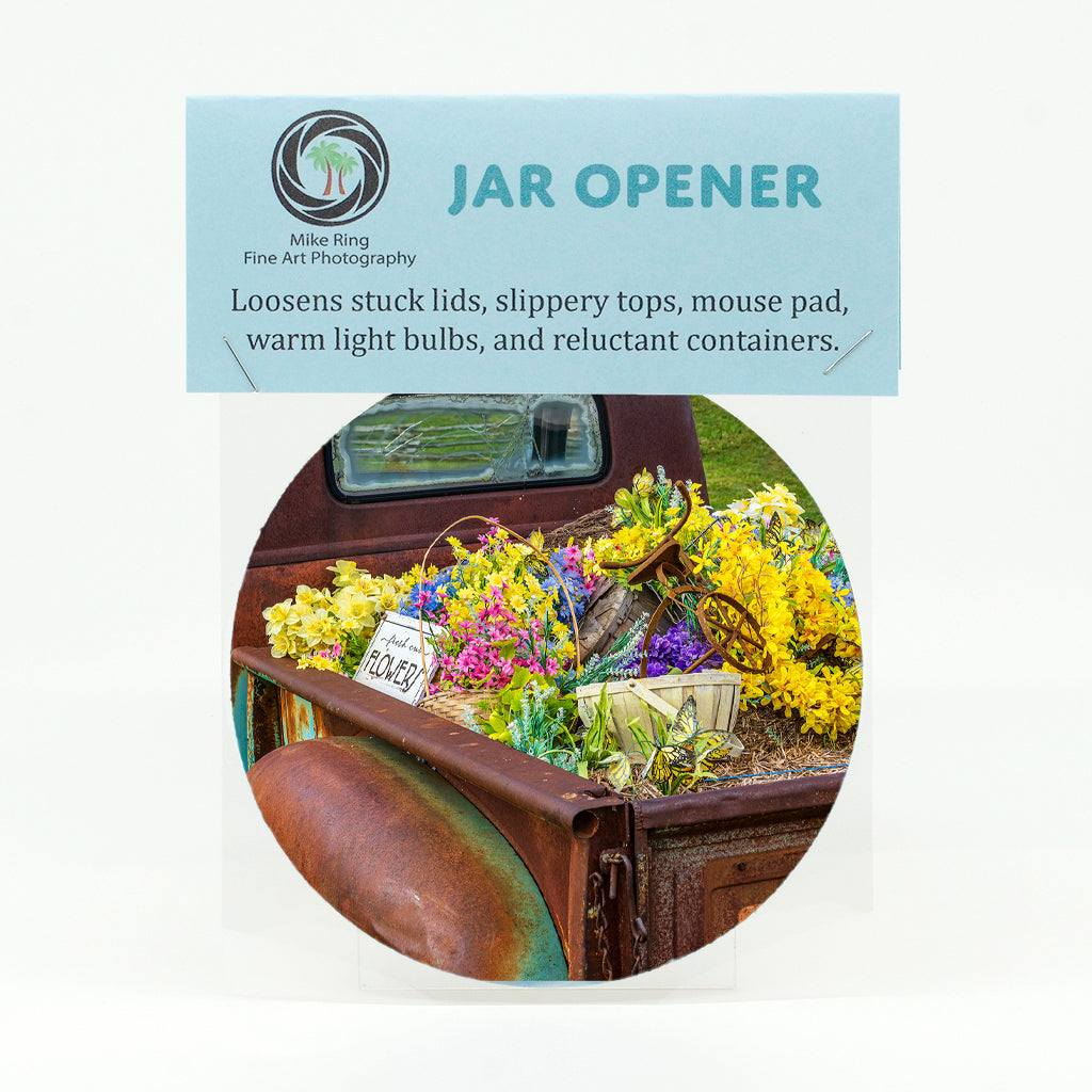 Fresh Cut Flowers Gifts
