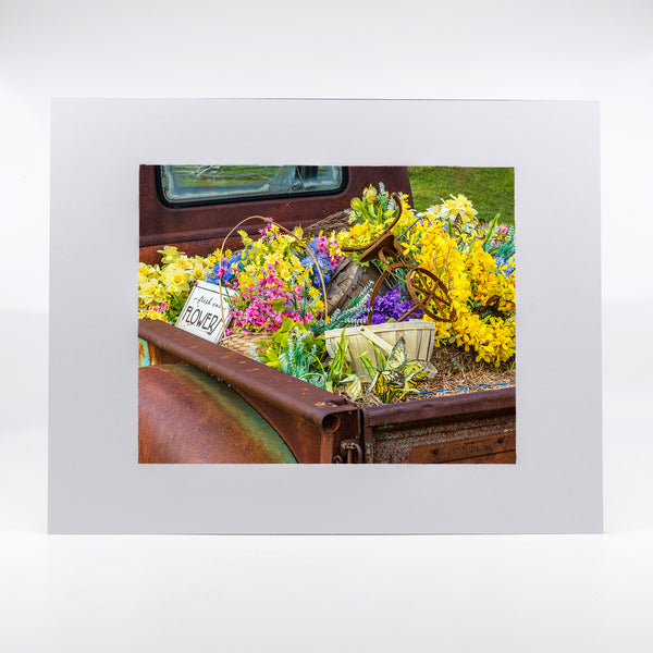 Fresh Cut Flowers Gifts