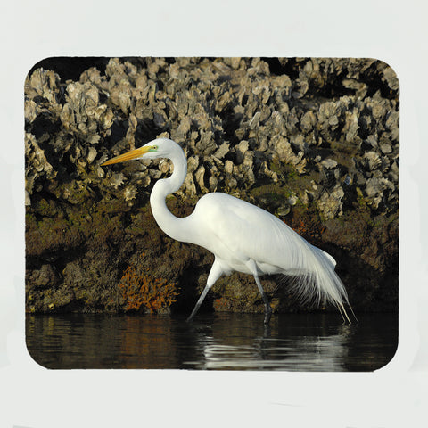 Great Egret Gifts