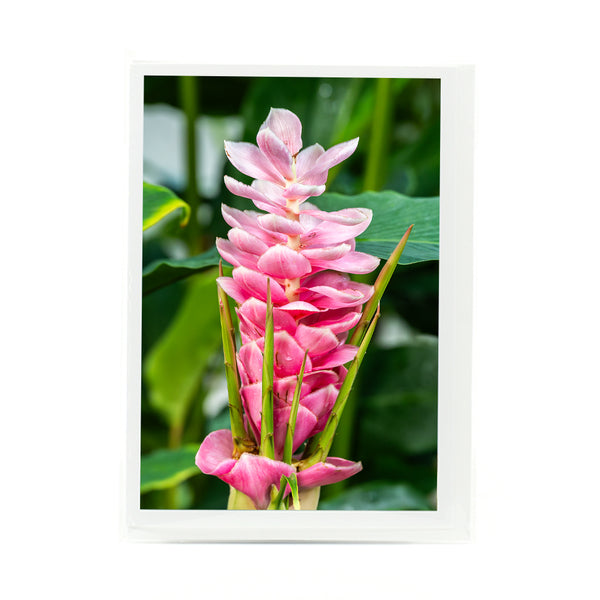 Ginger Flower Gifts